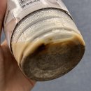 메머드익스프레스 신메뉴, 헤이즐넛 모카(칼로리, 가격) 내돈내산 후기
