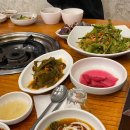 장지골 양.곱창(산농채) 네이버블로그