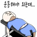 관산다이어트