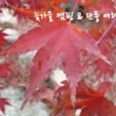 캠핑원 - 성북구 | [한장후기] 별이 빛나는 가을 캠핑 그리고 캠핑원 1st 정캠 (제천 월악오토 캠핑장, 141024~1026)