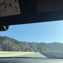 석류나무 | [전주 여행] 가을 감성 전주 여행🍂(한옥 풀빌라 독채숙소 석류나무 후기)