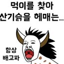 고기백화점 식육식당 이미지