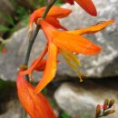 지천생태공원 이미지