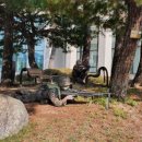 정부대전청사 이미지