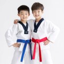 한국체대 MTA 태권도 이미지