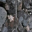 남원읍-3 이미지