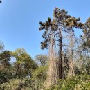 신가공원 이미지