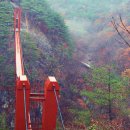 강천산군립공원(현수교) 이미지