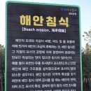 평해사구습지 이미지