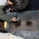 금광초등학교 이미지