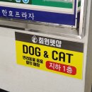 회원펫샵