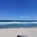 블루밍 342 이스트하우스풀빌라 | 여름휴가 / 영덕 여행 / 영덕 이스트하우스 풀빌라 럭셔리하우스