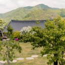 욜로한옥민박 이미지