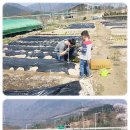 두명마을자연체험촌