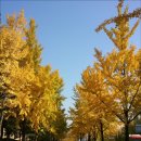 위례성대로 이미지