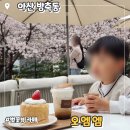 지사목장 | 아산 벚꽃뷰 카페 오엠엠 재방문 후기