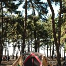 이마트24 R고창휴먼시아점 | 고창 구시포노을캠핑장 예약 2박3일 후기