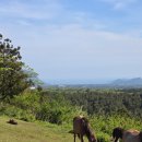 명성목장 이미지