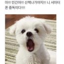 아주커 치킨 이미지