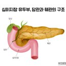 죽이야기 수송점 | 四字成語 총정리 ㄷ 106 담즙울체~담탁내폐