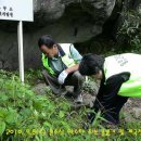 동문그린 이미지