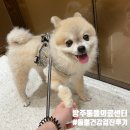 방주동물의료센터 이미지