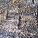 하사촌1 이미지