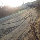 동량면사무소 이미지