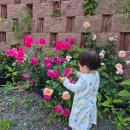 보령알프스가 이미지