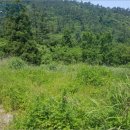 거문초동도분교장 이미지