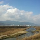 외동마님 이미지