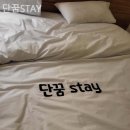 단꿈STAY 이미지