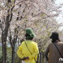 푸릇푸릇해