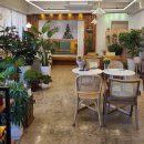 교룡커피 이미지