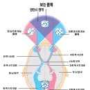 아이엠안경원 | 시력 짝눈 안경┃어지럽지 않게 교정하는 방법