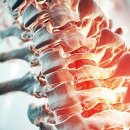 세종 정형외과 앞 이미지