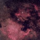 NGC 7000 & IC5070 [북아메리카 성운과 펠리칸 성운] 이미지