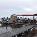 왜목마을좌대낚시터 이미지