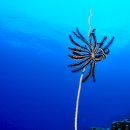 한가한오후 이미지