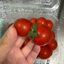 행운세탁소 | [블챌] 10월 기록(4) | 행운은 늘 내 편인 걸