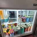 쇼 보성 | 한성 보성벌교 라로꽃쇼케이스 428만원 내돈내산후기