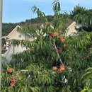 세븐일레븐 홍천오션점 이미지