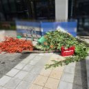 나무 조형물 이미지