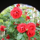 우장산동 이미지