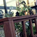 사랑방 헤어샵 네이버블로그