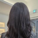 샘터미용실 이미지