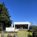 사라보카 48 이미지