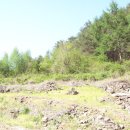 한서자기원 이미지