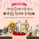 힘찬동물메디컬센터 이미지