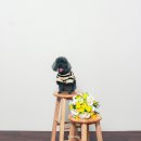 중앙사진관 | 안산 셀프스튜디오 셀프사진관 예뻐서 봄 안산 중앙점 후기